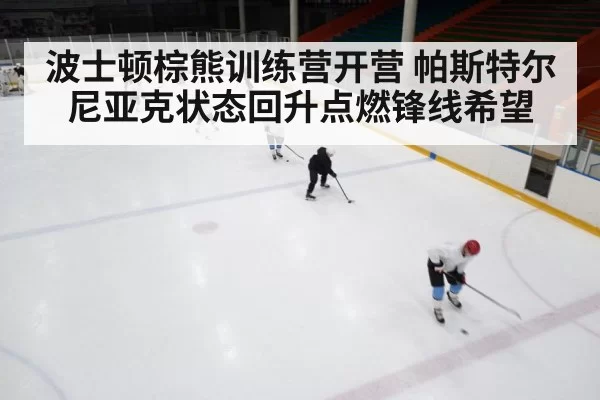 波士顿棕熊训练营开营 帕斯特尔尼亚克状态回升点燃锋线希望