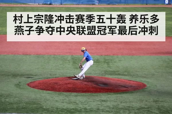 baseball pitcher mound